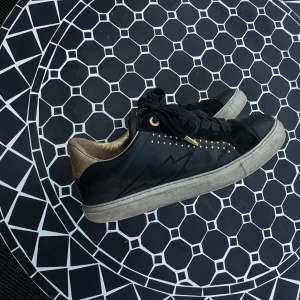 Zadig & Voltarie Sneakers - Hej! Säljer nu mina så fina (men ganska slitna) sneakers från Zadig & Voltarie, nypris ca 3000kr. Säljer för bra pris pga väl använda men de är inte sönder på något sätt! Stl, 38!