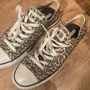 Leopardmönstrade converse