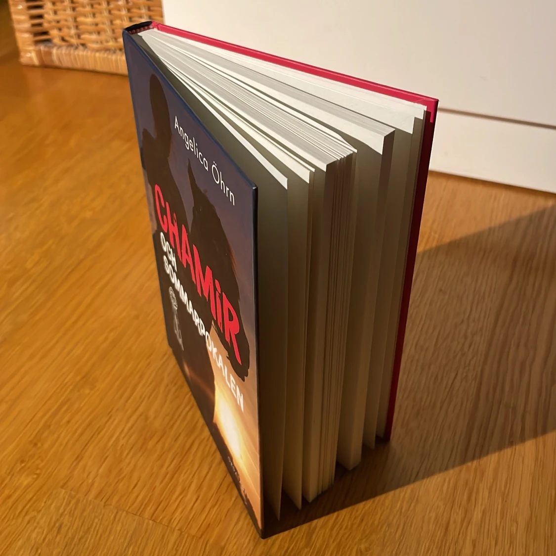 Chamir och Sommarpokalen - 91