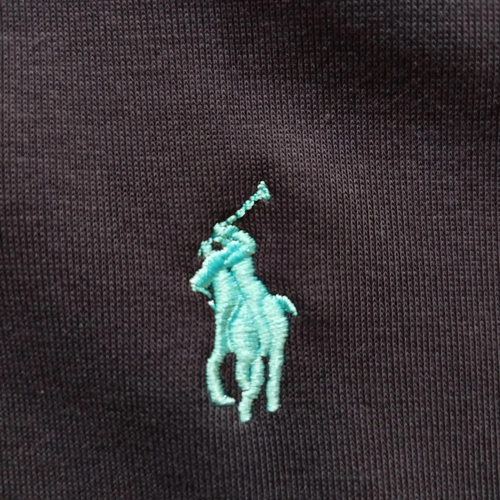 Ralph Lauren Hoodie, storlek M men passar som S. Nästan nyskick, inga märkbara fel. Färg marinblå, ljusblå logga. Pris kan diskuteras!. Hoodies.