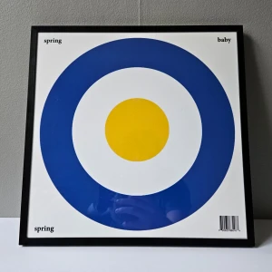 Thomas Stenström - Albumaffisch, 31.5x31.5cm - Thomas Stenström - Spring Baby Spring albumaffisch, 31.5x31.5cm. Helt ny - Passar bra i IKEAs tavelram Lomviken!  Skickas i papprulle - Ramen ingår inte!