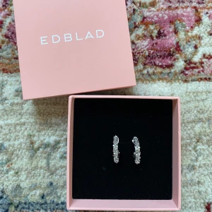 Örhängen från Edblad - Aldrig andvända.🩷