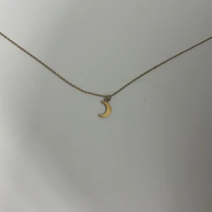 Guldigt halsband med månhänge - Ett tunt och stilrent halsband i guld med ett litet månhänge. Perfekt för dig som gillar minimalistiska smycken med en touch av mystik. Passar till många olika stilar och tillfällen.