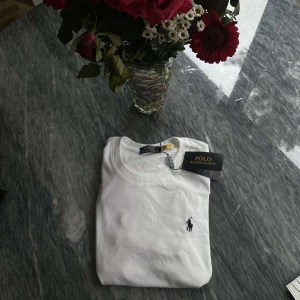 Ralph Lauren T-shirt  - Säljer en helt ny Ralph Lauren T-shirt som jag fick i födelsedagspresent. Tröjan är i perfekt skick då den är helt ny och super fin. PASSAR ÄVEN DIG SOM HAR STORLEK XS!
