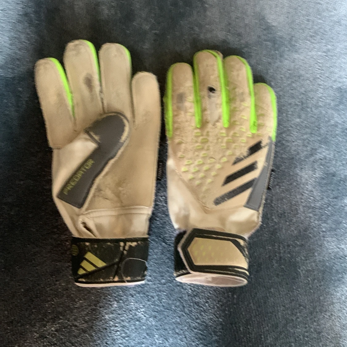 Adidas Predator målvaktshandskar - 2