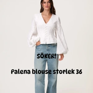 SÖKER!! Palena blouse från Adoore - SÖKER!!! Storlek 36 Palena blouse 