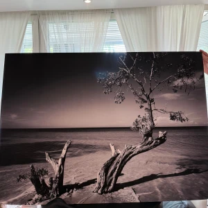 Tavla (svartvit strandbild) - En stor tavla med ett omslag som visar ett dramatiskt svartvitt fotografi av en strand med träd och hav. 84 cm i höjd och 121 cm i bredd. Omslaget ger en känsla av lugn och eftertanke. Orginalpris 1300 ! Det lilla skadan syns inte som ni ser på första bilden, utan är bara för medvetenhet ! 