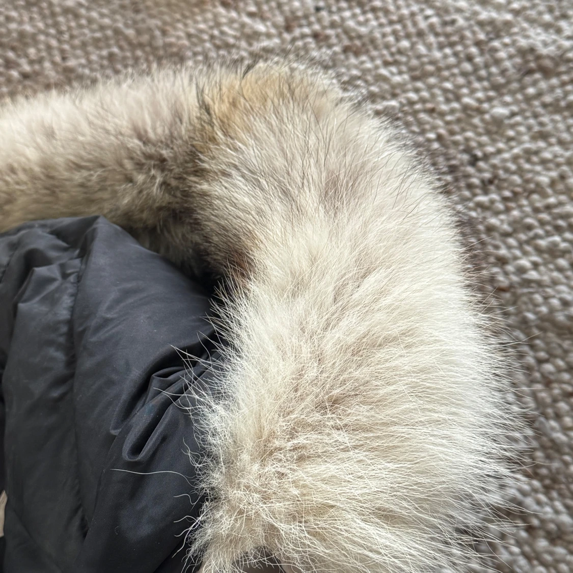 Beige dunjacka från Canada Goose - 4