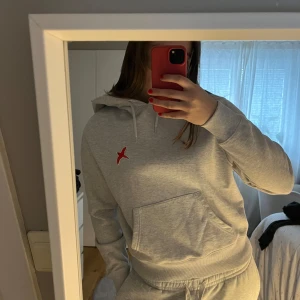 Axel Arigato Hoodie  - En så snygg grå Axel Arigato Hoodie med röd fågel på bröstet! Lyxig och bekväm. Säljer då den är lite för liten för mig. Inte använd många gånger alls dock. Köp direkt för 300+frakt! 