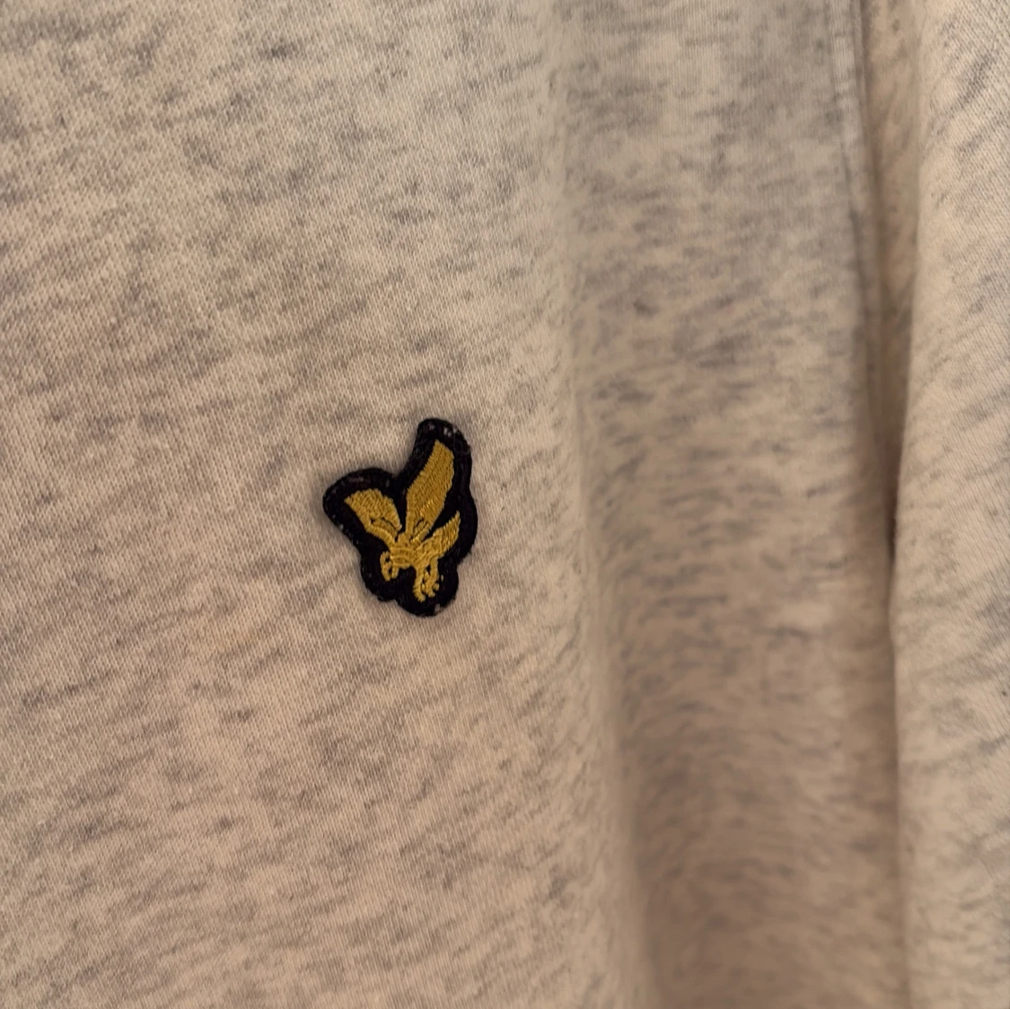 Ljusgrå hoodie från Lyle & Scott - 2