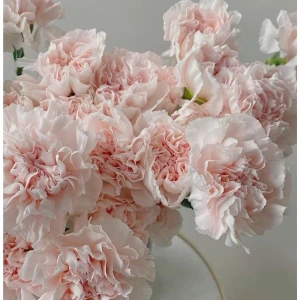 Arkivfoto  - Går ej att köpa 