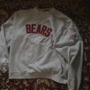 Grå sweatshirt från Reebok med BEARS-tryck - Säljer en grå sweatshirt från Reebok med stort BEARS-tryck på framsidan. Tröjan har långa ärmar och är tillverkad i en bomulls- och polyesterblandning. Perfekt för en avslappnad stil.