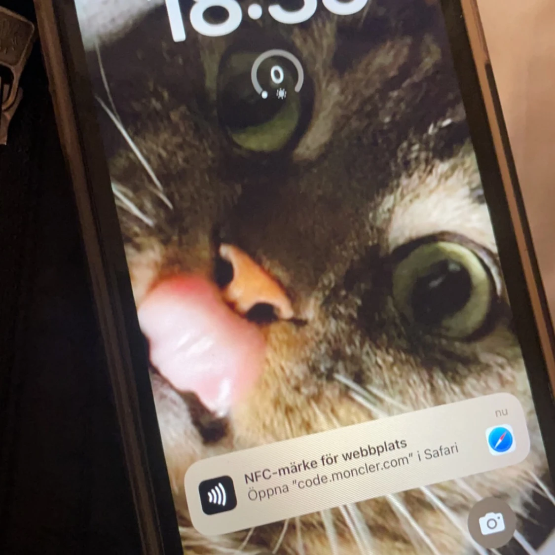 Svart dunjacka från Moncler - 2