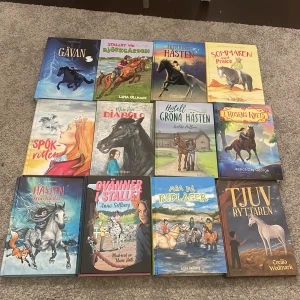 Penny and friends böcker - Säljer dessa 12 penny ans friends böckerna pga att jag inte kommer läsa dom igen och är inte heller intresserad av hästar längre. Jag säljer allihopa för 200kr.