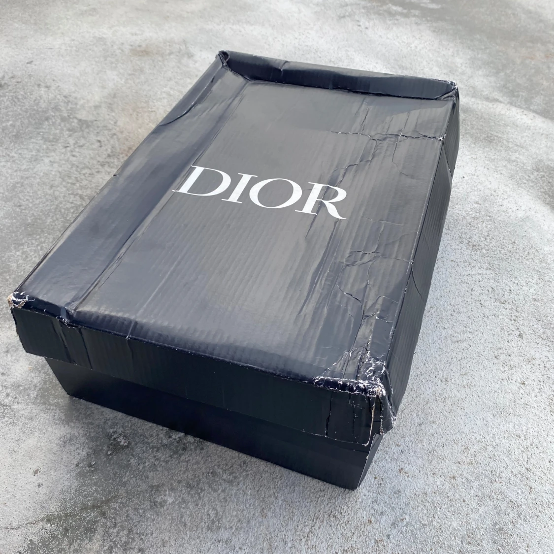 Grå  sneakers med CD-logga - 4