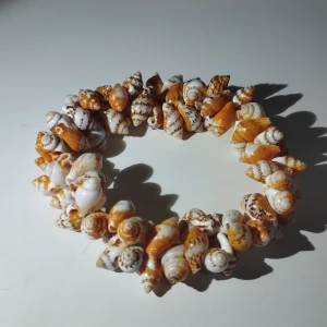 Armband med snäckor - Unikt armband tillverkat av små snäckor i vita och orange nyanser. Snäckorna är tätt sammanfogade och ger ett naturligt och strandinspirerat utseende. Perfekt för att ge en bohemisk touch till din stil. Armbandet är 6 cm i diameter och cirka 16 cm i omkretsen.