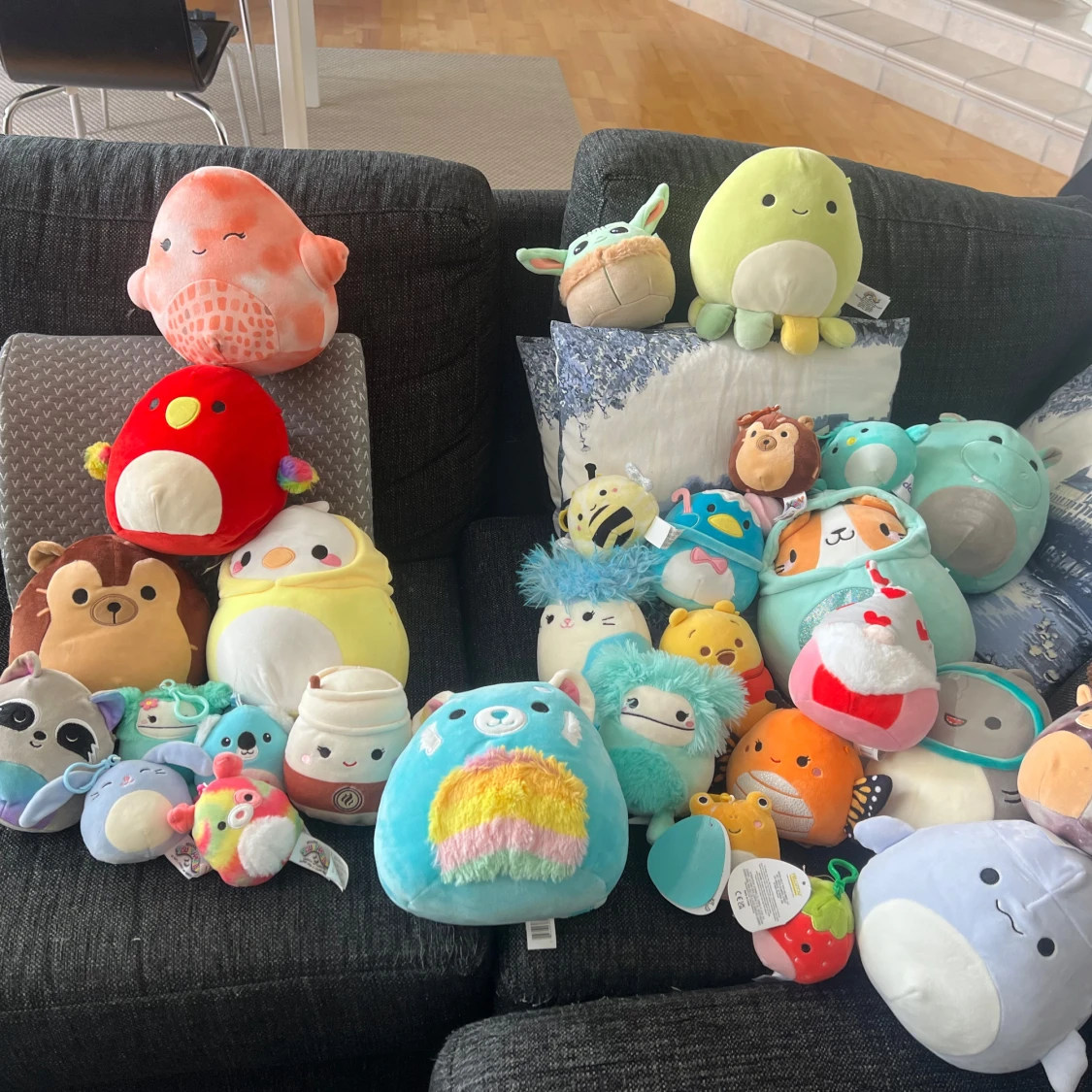 Squishmallow/squishmallows