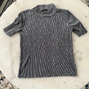Grå- och vitrandig topp med ståkrage från Zara - Säljer en snygg grå topp från Zara med vita smala ränder och ståkrage. Toppen har korta ärmar och är tillverkad i ett glansigt, syntetiskt material som ger en cool look.