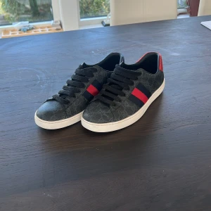 Gucci ace - Tja, säljer nu mina tvär feta Gucci ace skor då jag vill ha något nytt. Passar till allt och är väldigt sköna. Skicka 8/10 skulle jag säga. Skriv vid frågor eller pris förslag!