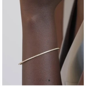 Ani armband  - Supersnygga tunt guldigt armband från Ani. Nypris 1000kr