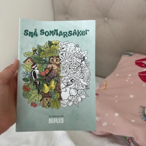 Små sommarsaker målarbok - En kreativ målarbok fylld med somriga motiv av djur, natur och vatten. Perfekt för dig som gillar att färglägga och vill koppla av med detaljerade illustrationer. Inspireras av ugglor, fåglar, fjärilar och blommor – här finns massor att upptäcka och färglägga!