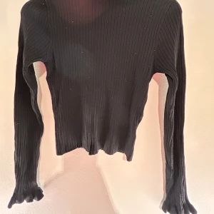 Svart ribbad polotröja från H&M - Säljer en stilren svart ribbad polotröja från H&M. Tröjan har långa ärmar och en hög krage som ger en elegant look. Perfekt för kyligare dagar och lätt att matcha med olika outfits. Kontakta mig om det är något. Köparen står för frakten.