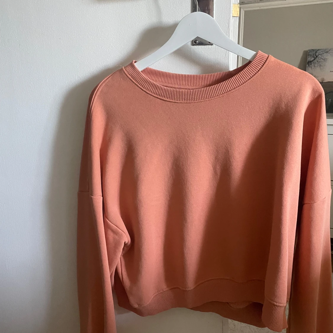 Sweatshirt periskafärgsd 
