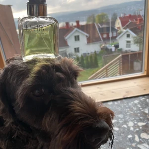 Eternity for Men Eau de Toilette - Fräsch och klassisk herrparfym från Calvin Klein, ungefär 10 ml har använts så runt 90/100ml är kvar i den. Perfekt för en present åt grabben. Speciellt när förpackningen medföljer. Tyvärr följer inte hunden med i köpet.