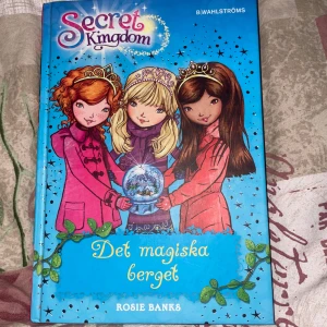 Secret Kingdom: Det magiska berget - En färgglad barnbok av Rosie Banks från serien Secret Kingdom. Omslaget visar tre tjejer med kronor och en snöglob, och boken handlar om vänskap, magi och äventyr i ett vinterlandskap. Perfekt för unga läsare som gillar spänning och fantasi.