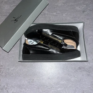 Giuseppe Zanotti skor - Storlek 45 helt ny skicks, använda 3-4 gånger och säljs pga för trånga. Pris på 2000 kan diskuteras 