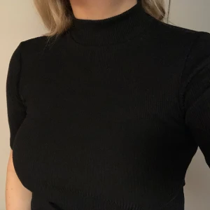 T-shirt  - Ribbed T-shirt med turtleneck och slits vid sömmarna i sidan. Fint skick! Strl. XS men passar på mig som vanligtvis har M-L i storlek. 