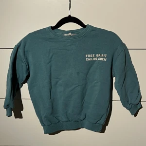 Snygg hoodie  - Snygg hoodie med tryck på ryggen. Väldigt bra skick bortsett från en liten fläck på framsidan. 