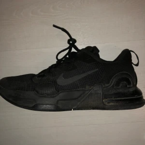 Nike Air Max Alpha Trainer - Köpta på nike websidan för 1099kr de är i bra skick utan några defekter och innan varan skickas så tvättas de