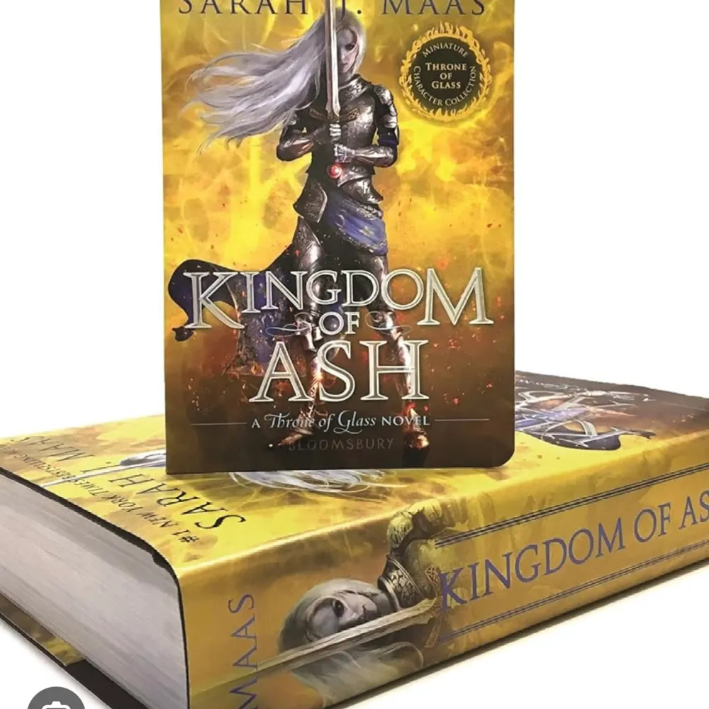SÖKER denna bok ”Kingdom of ash” av Sarah J. Maas i inbunden form på engelska. Bok serie ”Throne of glass”. Övrigt.