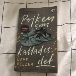 Pojken som kallades Det - Av Dave Pelzer en sak historia första boken på svenska