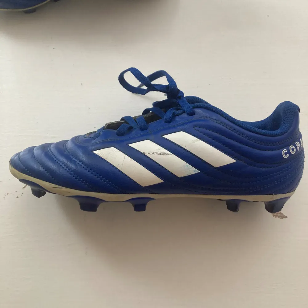 Adidas Copa. Storlek 37 1/3. Bra skick men använda.. Skor.