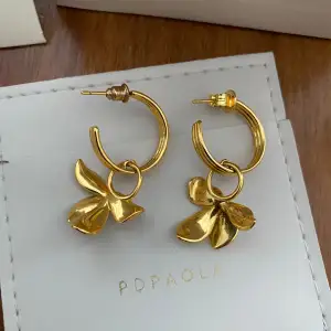 Nya örhängen i modell: PDPAOLA WOMAN EARRINGS BLOSSOM AR01-185-U COLLECTION. Originalkartong med tillbehör. Örhängena är i silver med guldplätering