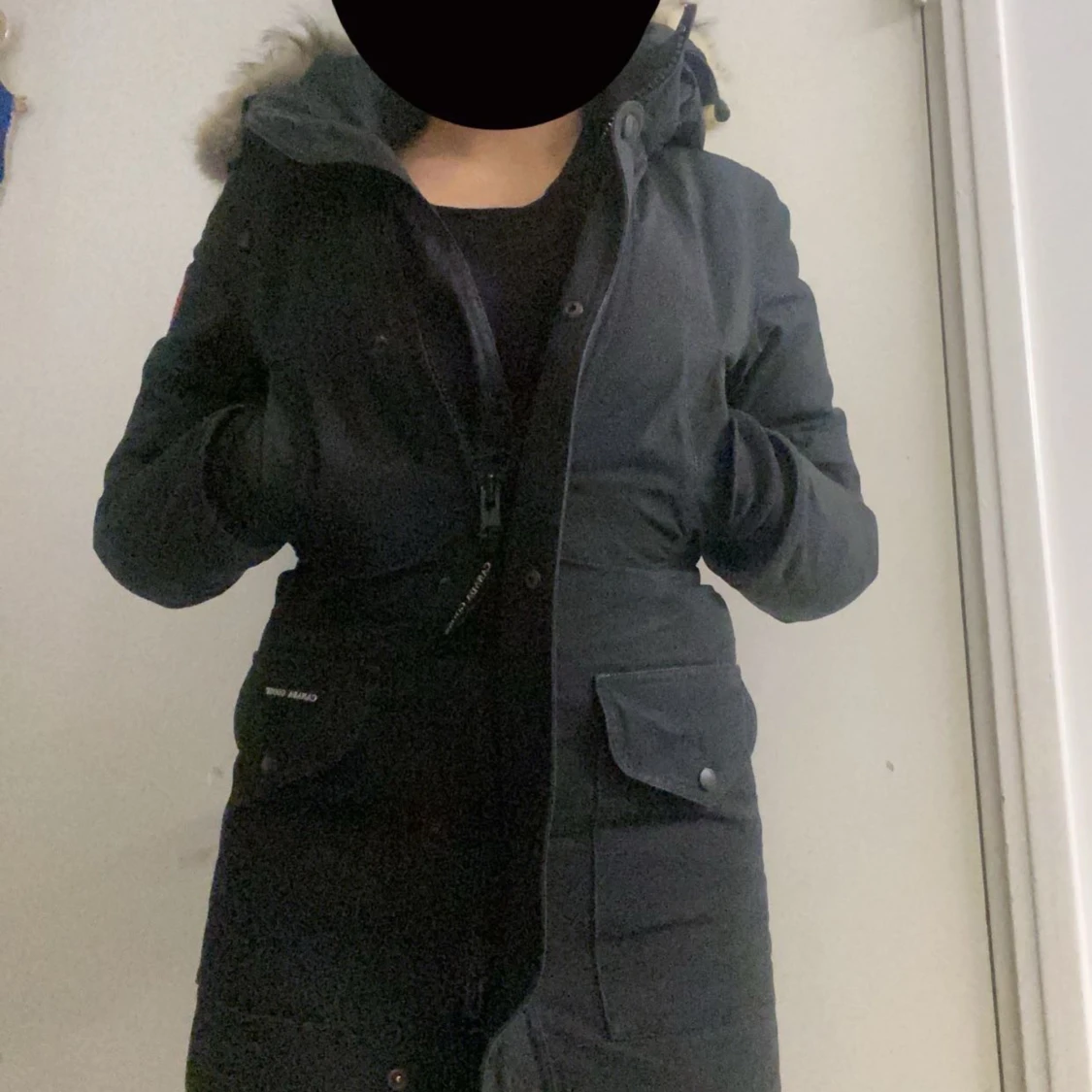 canada goose - 90