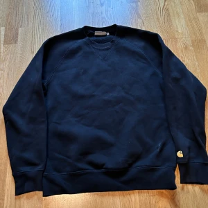 Carhartt sweatshirt - Carhartt tröja bra skick 
