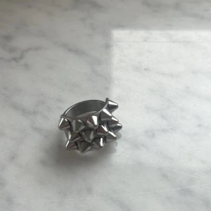 En Edblad ring i silver🫶🏻 - Den är i storlek xs