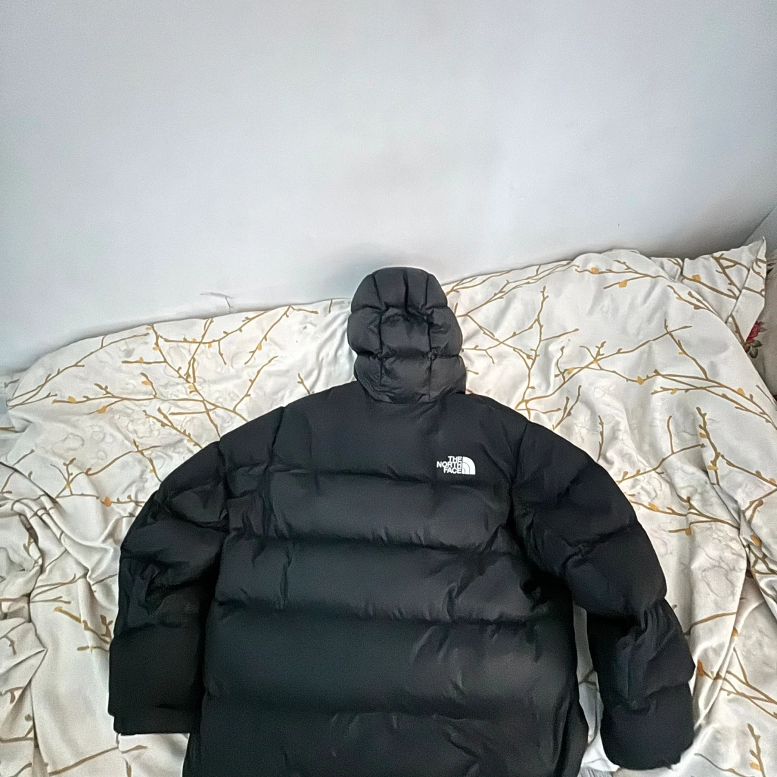 North face 550 jacka 