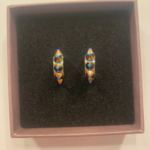 Örhängen från Edblad - Peak creoles örhängen från Edblad i färgen unicorn, en lite multifärgad nyans, använda ett fåtal gånger och är i nyskick, finns ej längre i butik. 