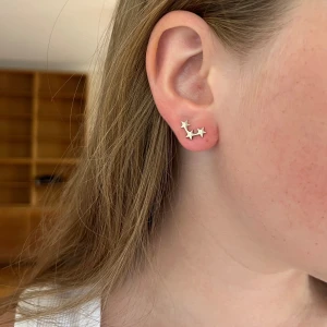 Skit snygga örhängen!! - Örhängen från guldfynd! ALDRIG ANVÄNDA då det var fel färg, föredrar guld hahaha🥰🥰❤️ gör prisförslag!