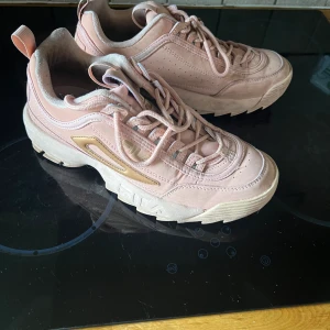 Fila skor  - Knappt använda fila skor.  Strl 41. 