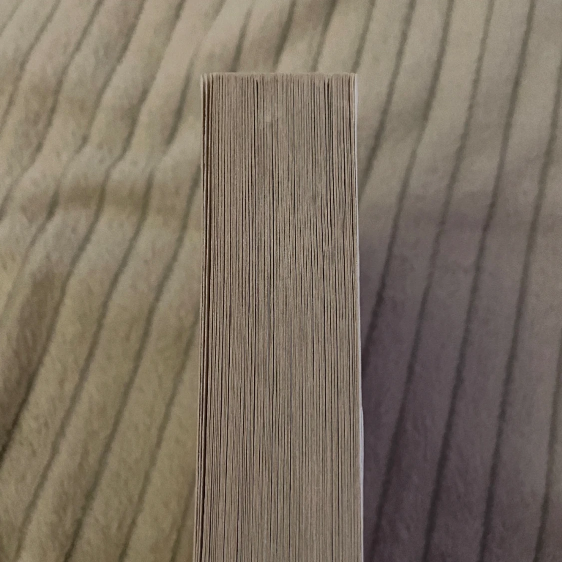 Delilah Green doesn’t care  - 91