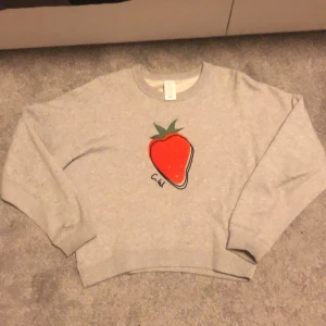 Grå tjocktröjan  - Grå tjocktröjan med jordgubbe från Carin Wester. Inte använt mycket och bra kvalite. 