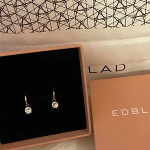 Edblad örhängen! - Säljer nu dessa sjukt vackra örhängen från Edblad! OANVÄNDA HELT NYA!!💕nypriset är 350kr men säljer helt nya för endast 249!☺️passar både vardag och fest. Rostfritt stål (nickelfria!)💘