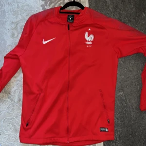 france 2018 - en tröja från 2018 storlek L passar fint och har använt den en gång bara 