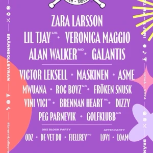 Brännbollsyran 2d Basic biljett - Säljer en Basic biljett 2 dagar till Brännbollsyran 31 maj-1 juni då jag inte kan åka längre. Biljetten kan även köpas på ticketswap för säkert byte.