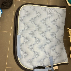 Schabrak - Schbrak I storleken ponny! 🐎 